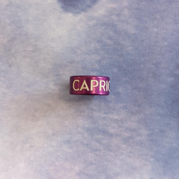 Notch Purple Capricorn Charm