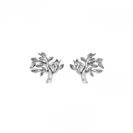 Hot Diamonds Silver Tree Of Life Earrings